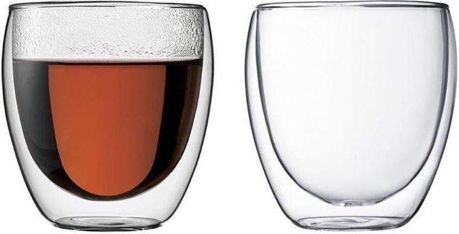 Glasrijk theeglazen Dubbelwandige glazen 250 ml 2 stuks Koffieglazen Theeglas Cappuccino glazen Latte macchiato glazen