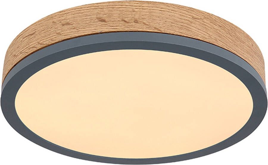 OTTO Globo Lightning Plafondlamp DORO Plafondlamp metaal grafiet LED (1 stuk)