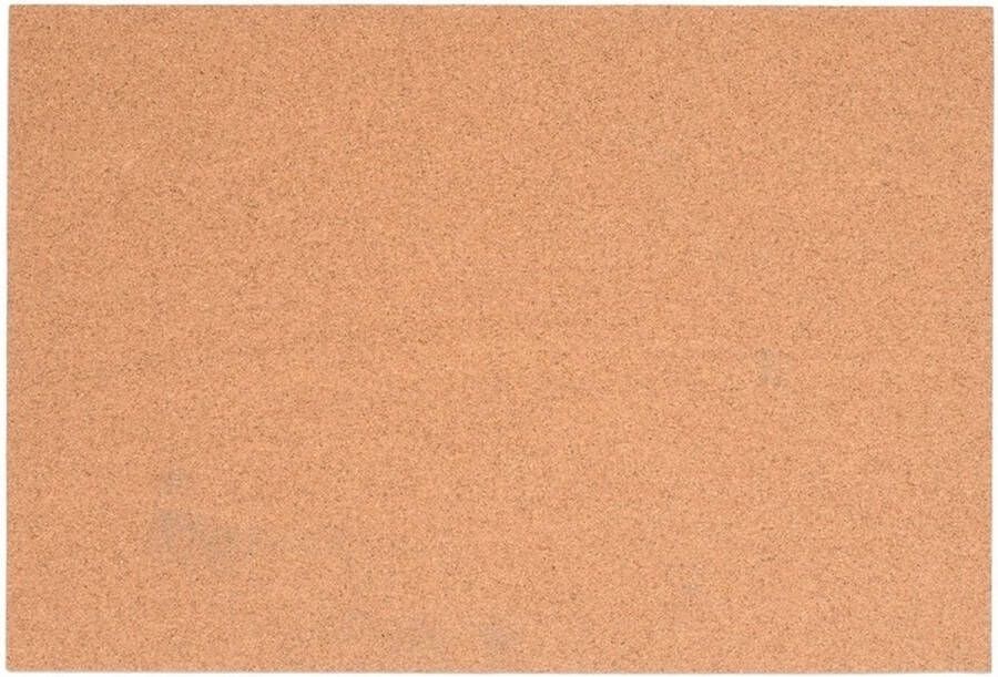 Glorex Hobby 2x stuks platte Kurkplaat kurkbord 20 x 30 cm Memobord Hobby knutsel materialen