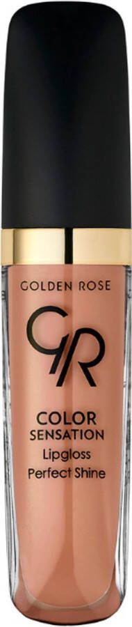 Golden Rose Color Sensation Lipgloss NO: 107 Lipgloss Neutrale dekking non-sticky