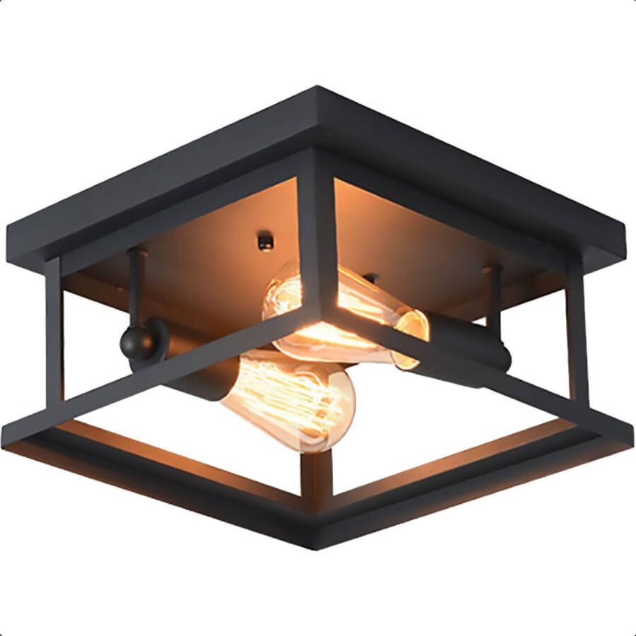 Goliving Golving Plafondlamp Industrieel Plafonnière Dubbele Lamp E27 Metaal Zwart