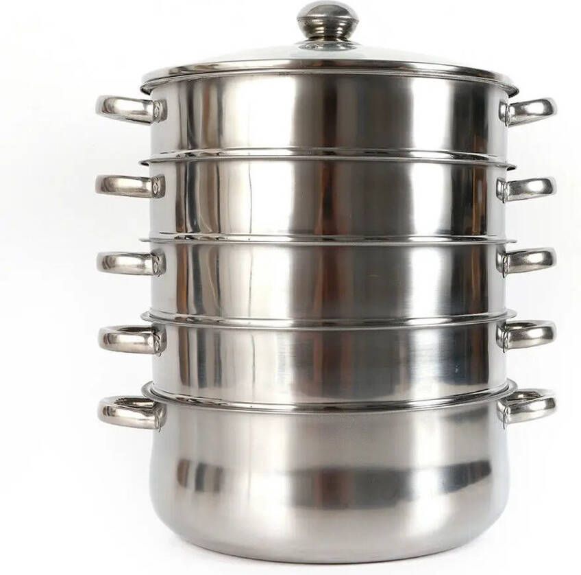 GoMyShop.nl 5-laags Stoomkoker 26cm Stoompan voor Voedsel en Groenten Roestvrij Staal Pan Koken van Vlees Vis Groenten Oesters
