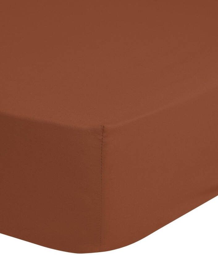 Good morning Hoeslaken Jersey Spannbettlaken 100% katoen jersey volledige elastiek tot 25 cm hoogte 90 100x200 wit (1 stuk)