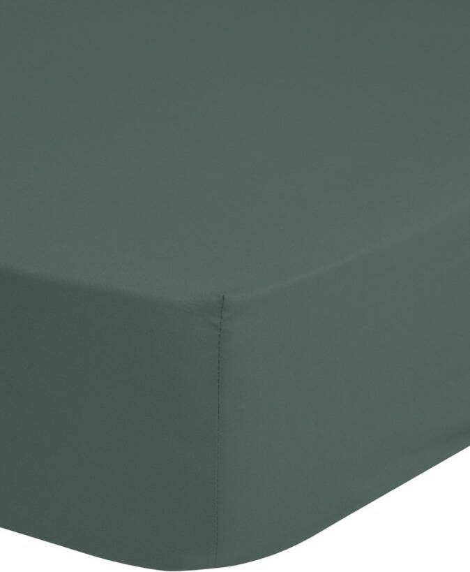 Good morning Hoeslaken Renforcé Junior Katoen Renforcé Baby Volledige elastiek tot 20 cm hoogte 60x120 Wit (1 stuk)