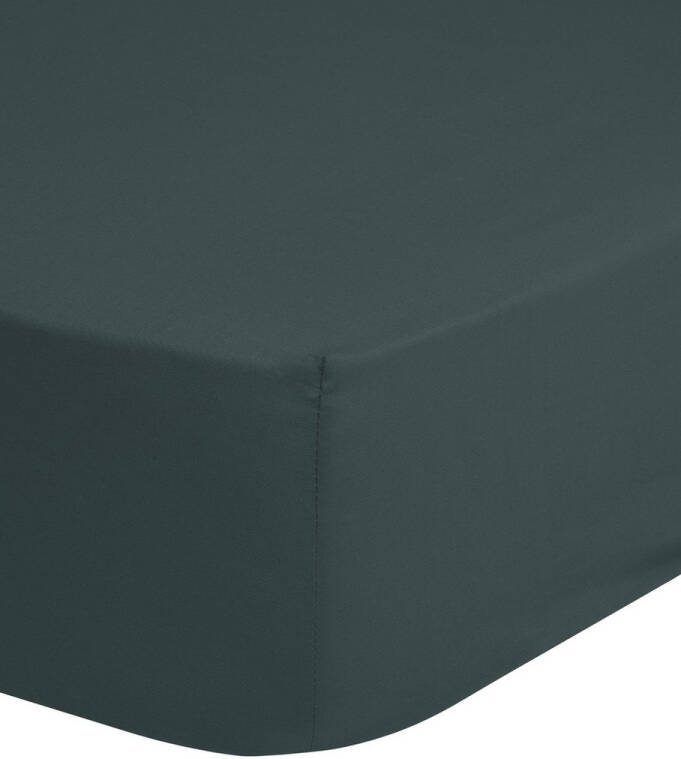 Good morning Hoeslaken Jersey Spannbettlaken 100% katoen jersey volledige elastiek tot 25 cm hoogte 90 100x200 wit (1 stuk)