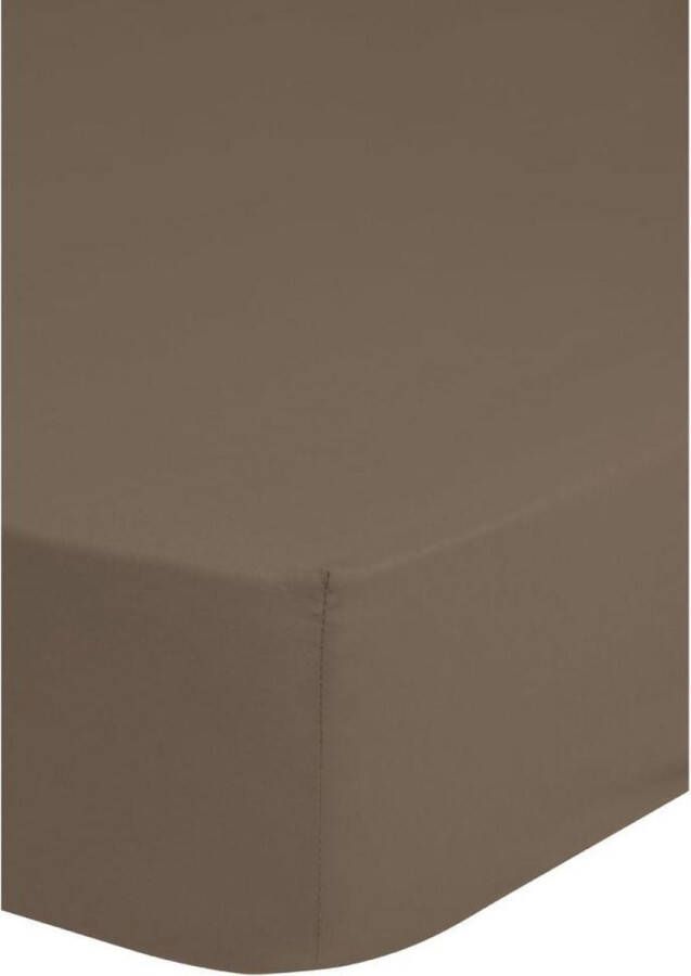 Good Morning Hoeslaken Katoen Strijkvrij Taupe-180 x 220 cm