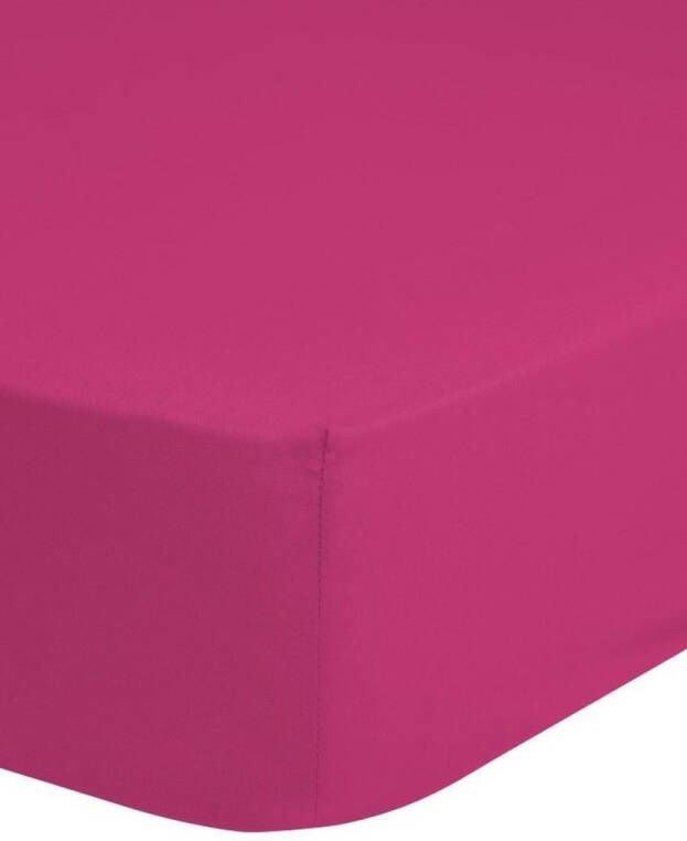 Good Morning Hoeslaken Strijk Vrij Katoen Pink Maat: 180x200cm
