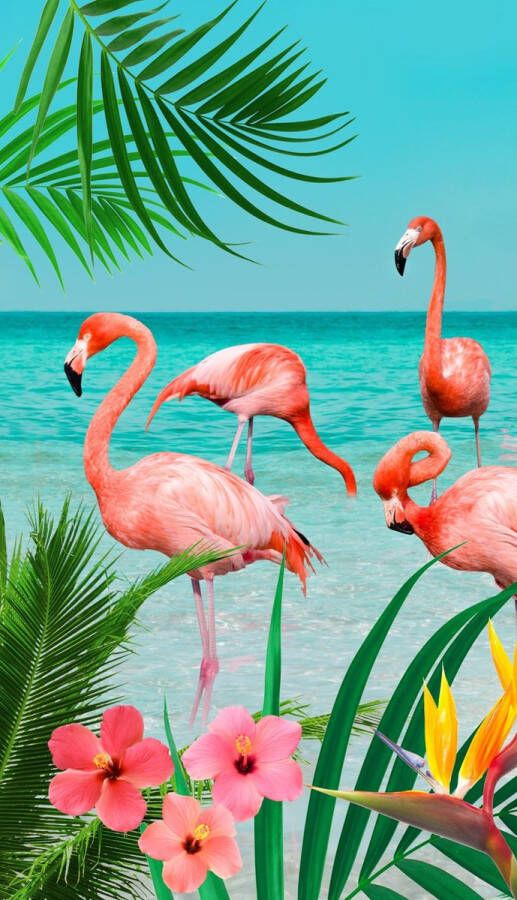 Good Morning Flamingo Strandlaken 100% Polyester Velours 100x180 Cm Multi