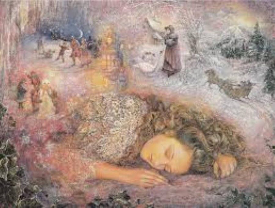 Grafika Legpuzzel 1000 stukjes Winter Dreaming J. Wall puzzel