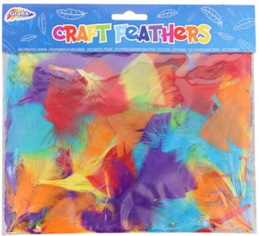 Grafix knutsel veren Hobby veren Gekleurde veren Knutselen 60 stuks kleuren