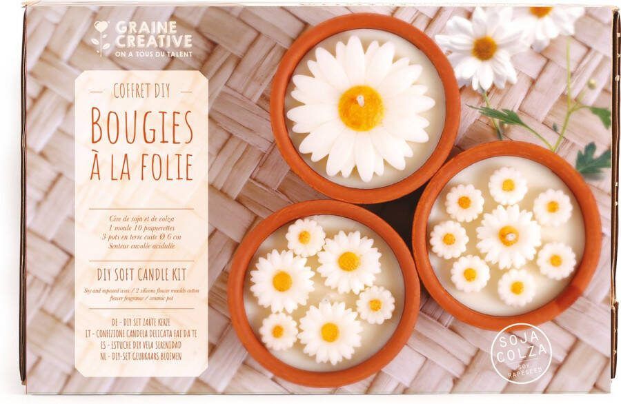 Graine Creative GC Kaarsen Maken DIY Set Margrieten in Terracotta Kaarsenhouder
