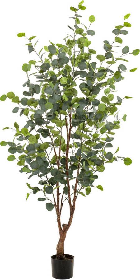 Green Boutiq Kunstplant Eucalyptus Blauwe Gomboom 140 cm