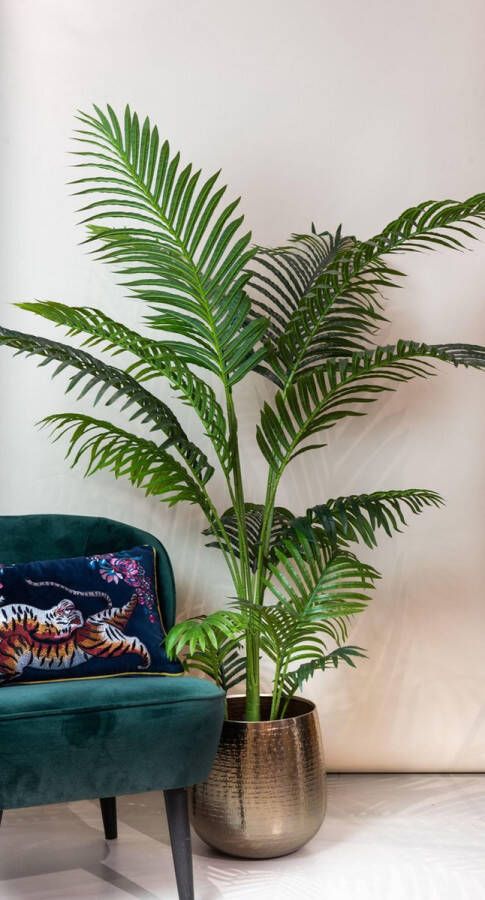 Green Boutiq Kunstplant Howea Forsteriana Paradijspalm 160 cm