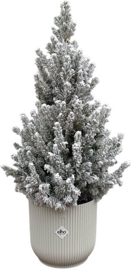 Green Bubble Picea Glauca met sneeuw (kerstboom) inclusief elho Vibes Fold Round wit Ø22 60 cm