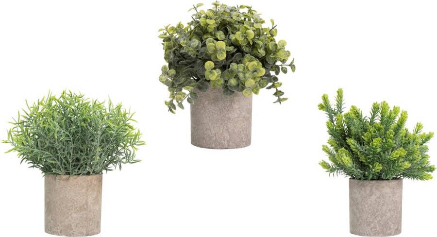 GreenDream Kunstplanten set met 3 Kleine kunstplanten 20cm hoogte