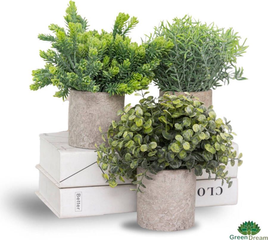 GreenDream Kunstplanten Set Met 3 Kleine Kunstplanten 20cm Hoogte