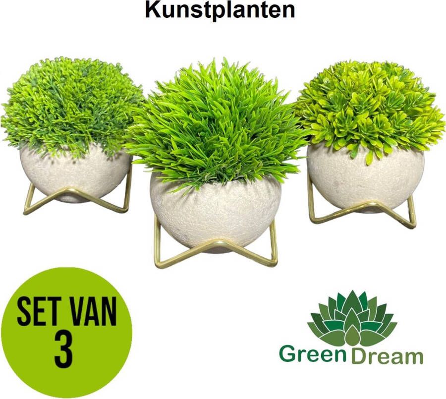 GreenDream Kunstplanten voor binnen 15x12 cm -Set van 3 stuks Nep planten in pot Vetplanten Decoratie Kerstcadeau