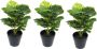 Merkloos Greendream Set Van 3 Mini Monstera Gatenplant Kunstplanten 30 Cm - Thumbnail 1