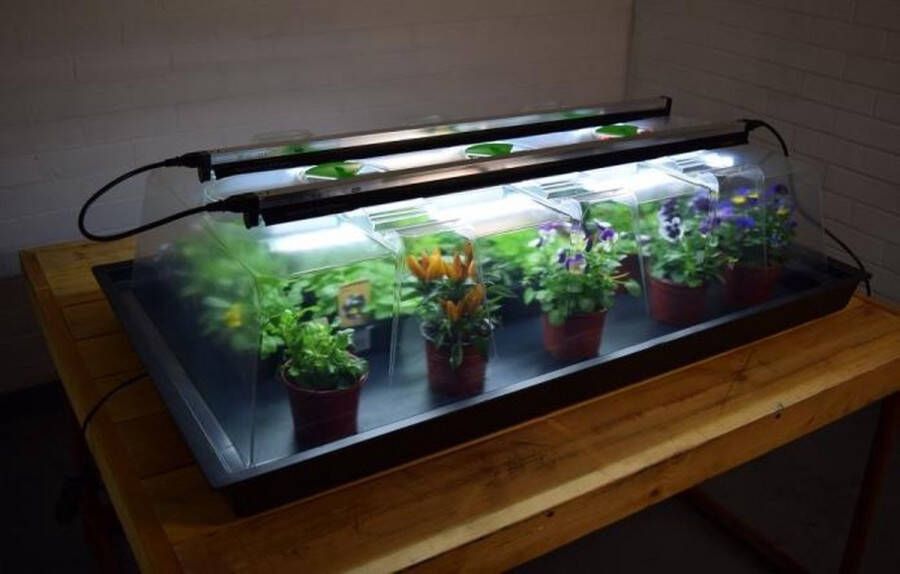 Greenhouse Sensations Propagator Geopod (Extra Large) Verwarmde kweekbak Verwarmd met geïntegreerde groeilampen en thermostaat