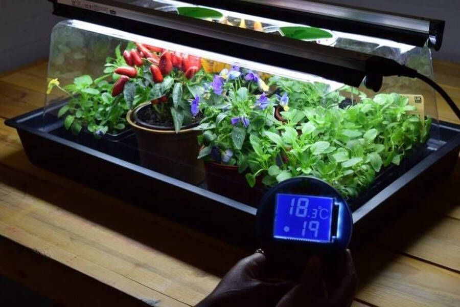 Greenhouse Sensations Propagator Geopod (large) Verwarmde kweekbak Verwarmd met geïntegreerde groeilampen en thermostaat