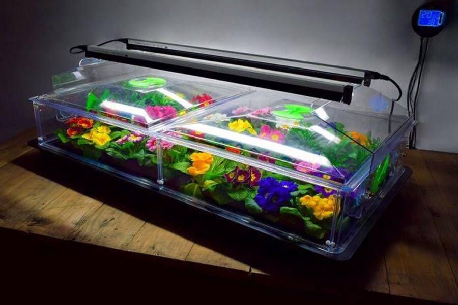 Greenhouse Sensations Propagator Vitopod 100W Verwarmde kweekbak Verwarmd met geïntegreerde groeilampen en thermostaat 24 cm hoog