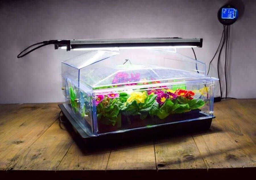 Greenhouse Sensations Propagator Vitopod 50W Verwarmde kweekbak Verwarmd met geïntegreerde groeilampen en thermostaat 24 cm hoog