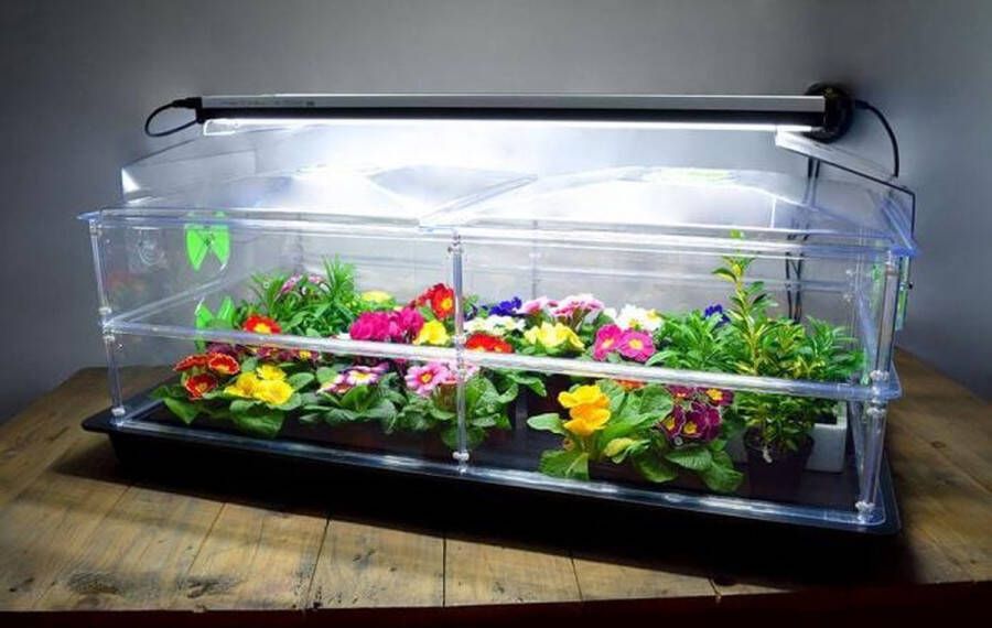 Greenhouse Sensations Propagator Vitopod 100W Verwarmde kweekbak Verwarmd met geïntegreerde groeilampen en thermostaat 39 cm hoog