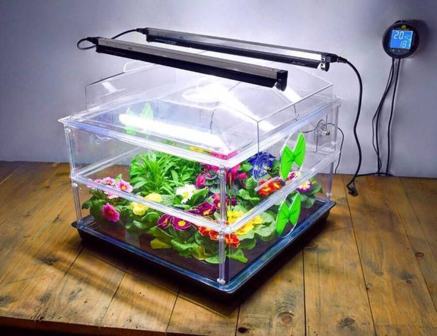 Greenhouse Sensations Propagator Vitopod 50W Verwarmde kweekbak Verwarmd met geïntegreerde groeilampen en thermostaat 39 cm hoog