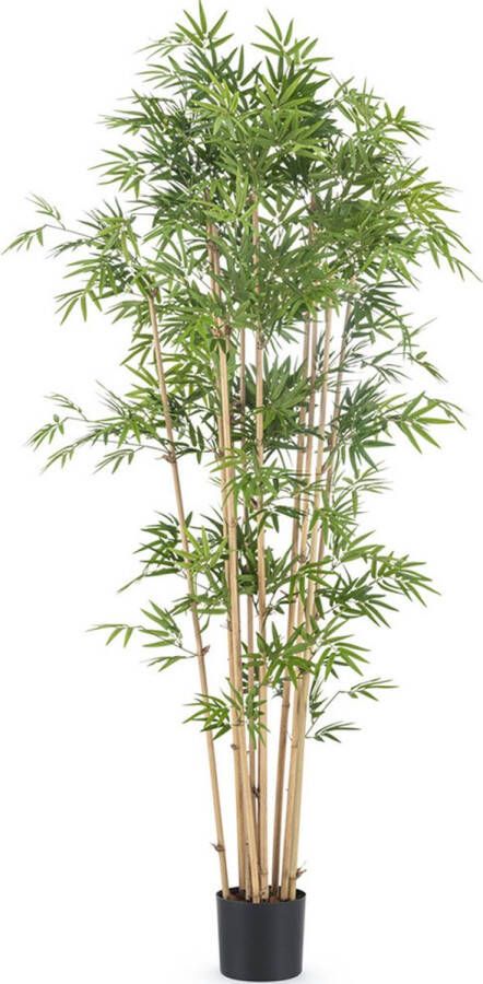 Greenmoods Bamboe Kunstplant Japanse Bamboe 170 cm