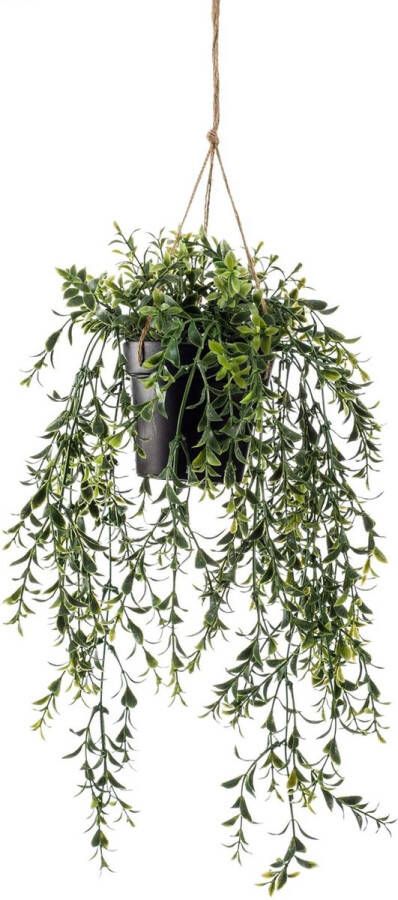 Woonexpress Hangplant Boxwood Groen Polyester Groen 50x0x0cm (hxbxd)