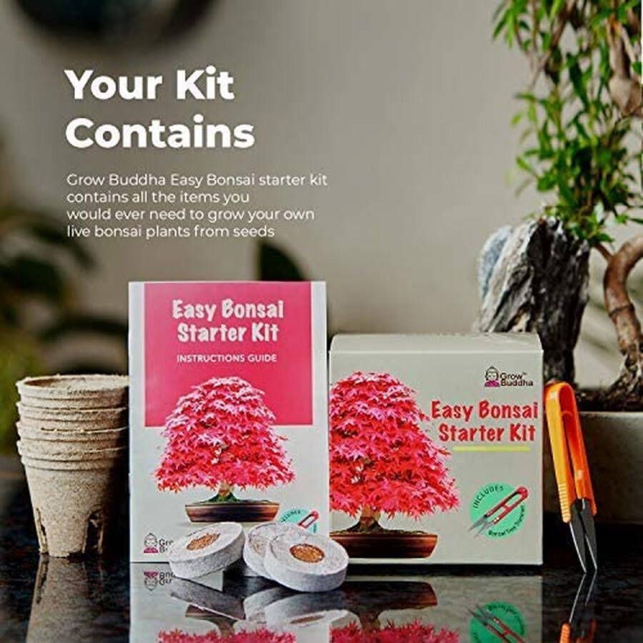 Grow Buddha Kweek je eigen Bonsai kit Kweek eenvoudig 4 soorten Bonsai bomen met onze complete beginnersvriendelijke Bonsai Zaden Starter kit Unieke Zaadkit kit Gift idee