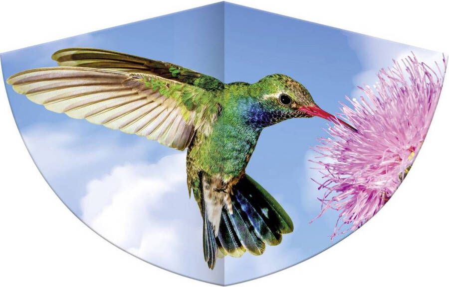 Günther Vlieger Kolibri Junior 48 X 75 Cm Polyester fiberglas