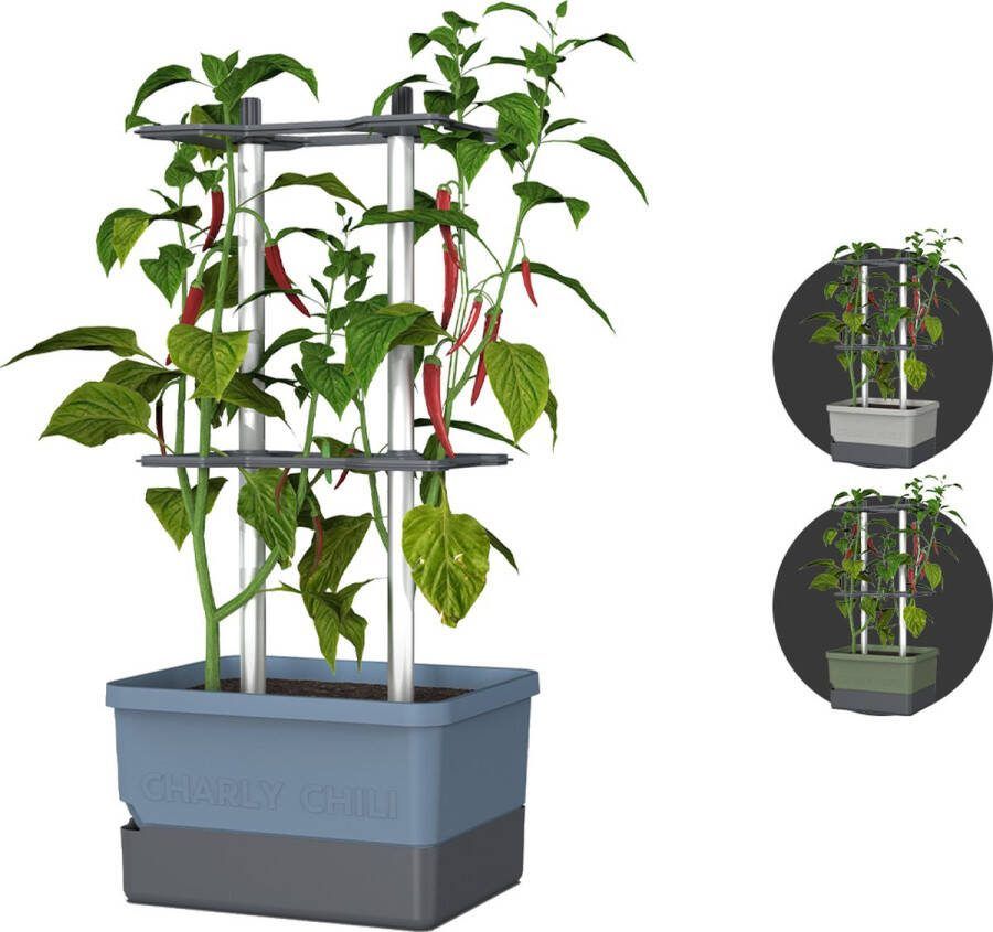 Gusta Garden Charly Chili Chiliplanten Chiliplanter met watertank Kweekbox Kweektafel Blauw