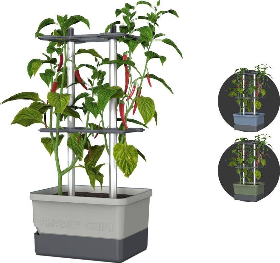 Gusta Garden Charly Chili Chiliplanten Chiliplanter met watertank Kweekbox Kweektafel Lichtgrijs