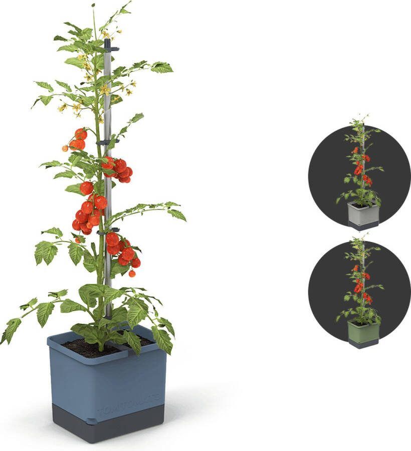 Gusta Garden Tom Tomato Tomaten Planten Tomaten Plantenbak met Watertank Kweekbak Kweektafel Blauw
