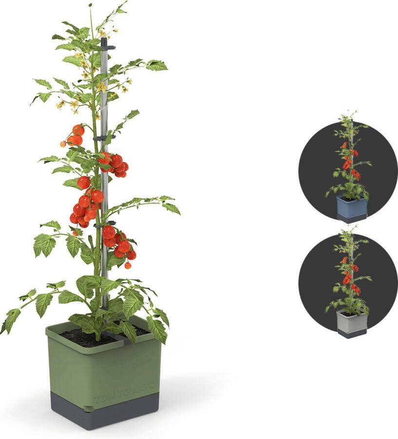 Gusta Garden Tom Tomato Tomaten Planten Tomaten Plantenbak met Watertank Kweekbak Kweektafel Donkergroen