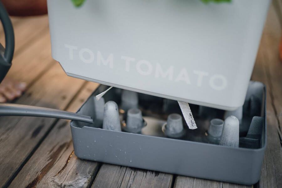 Gusta Garden Tomaten Kweekbak kweekset met waterreservoir & klimsteun Tom Tomato (lichtgrijs)