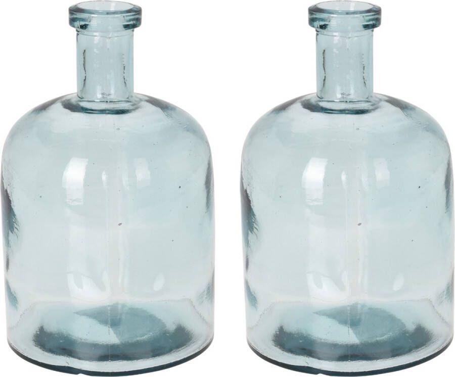 H&S Collection Fles Bloemenvaas Umbrie 2x Gerecycled glas transparant D15 x H24 cm Vazen