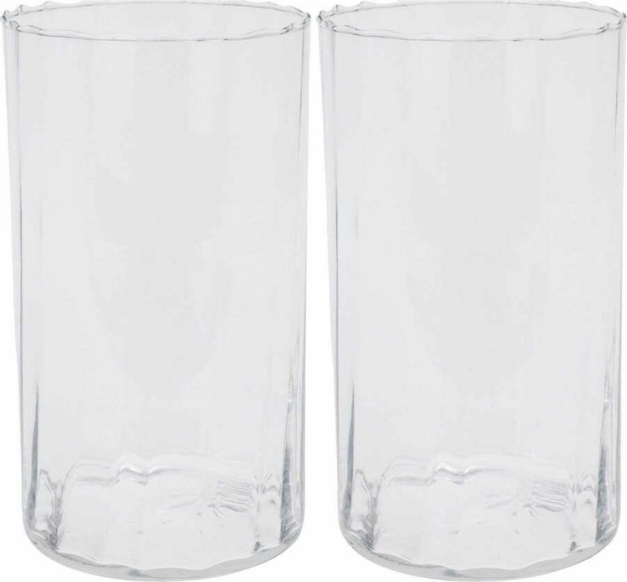 H&S Collection HS Collection Bloemen vaas 2x stuks glas transparant H22 cm