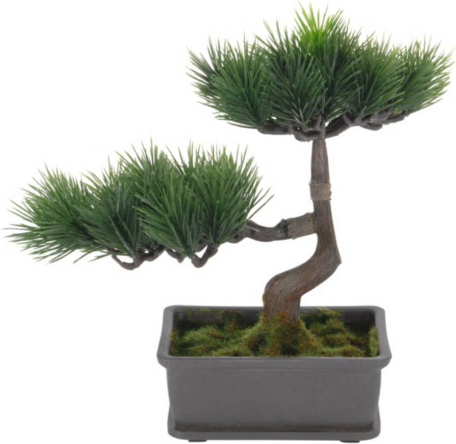 H&S Collection Kunstplant Bonsai boompje in pot Japans decoratie 27 cm dennen naalden Kunstplanten