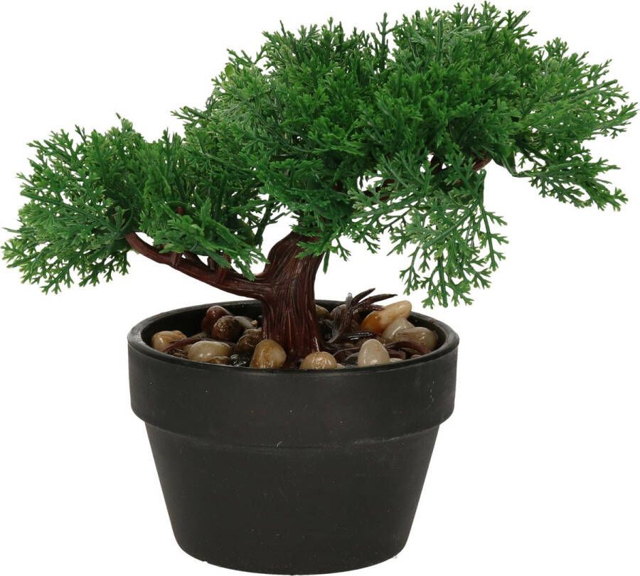 H&S Collection Kunstplant Bonsai boompje in pot Japans decoratie 19 cm Type Moss Kunstplanten
