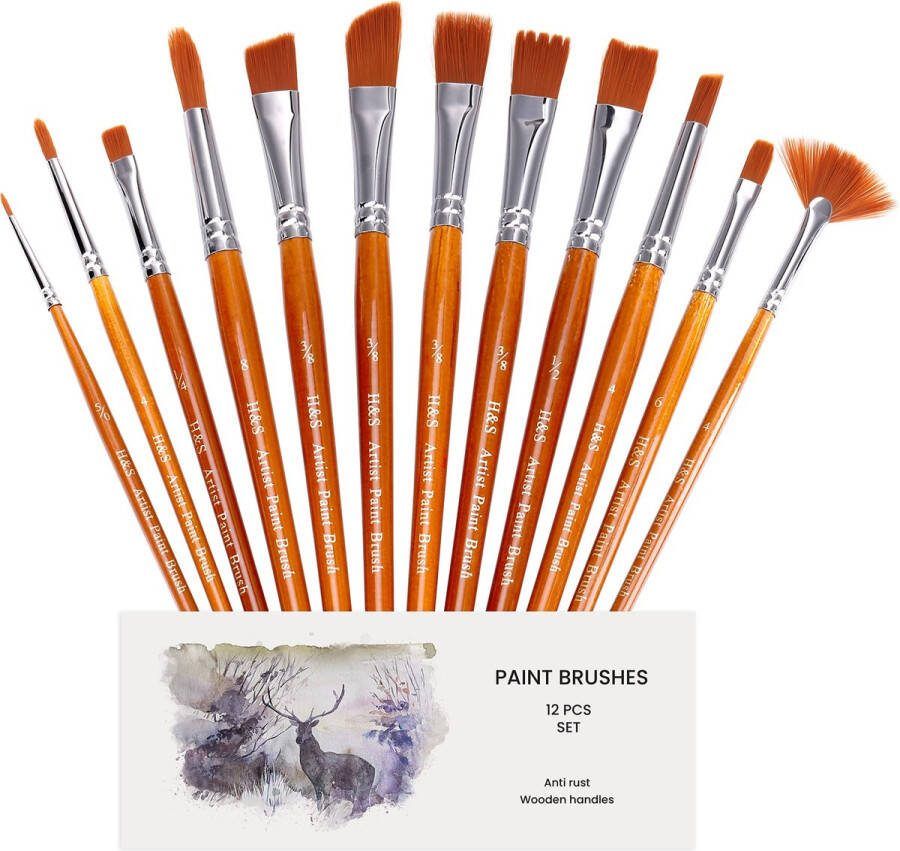 H&S Penseelset voor olie- aquarel- en acrylschilderen professionele platte en ronde penselen voor kunstenaars gemaakt van synthetisch haar 12 penselen voor kunstenaars