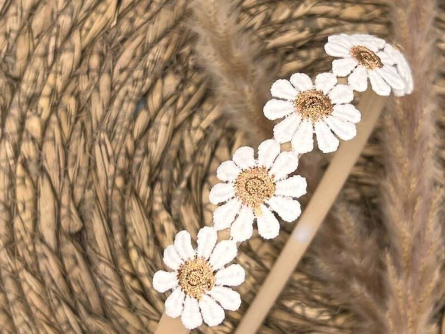 Haarspeldjes & zo Diadeem haarband madeliefjes brons -bloemen bloemetjes