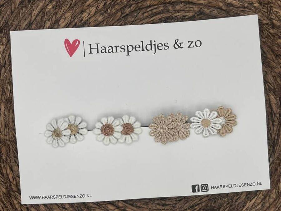 Haarspeldjes & zo Haarspeldje antislip baby's kinderen meisjes setje 6 mix bloemetjes