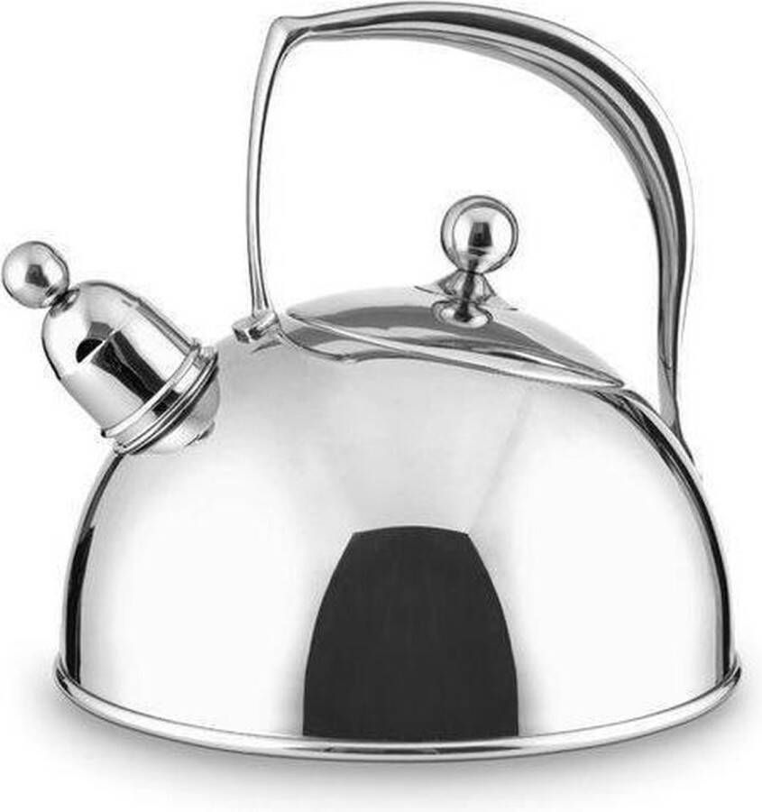 Habonne Royal Fluitketel 2 0 l RVS