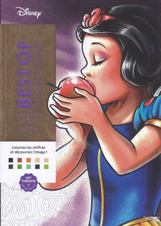 Hachette Coloriages Mysteres Disney Les Grands Classiques Kleurboek voor volwassenen
