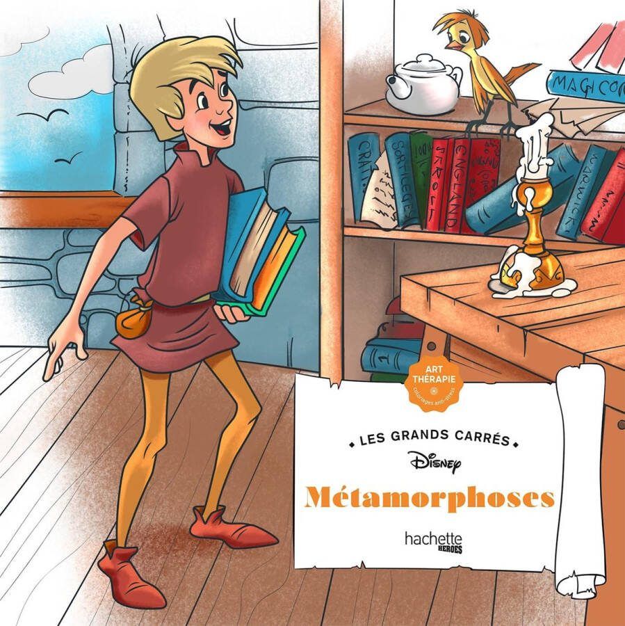 Hachette heroes Disney Les Grands Carrés Métamorphoses Kleurboek voor volwassenen