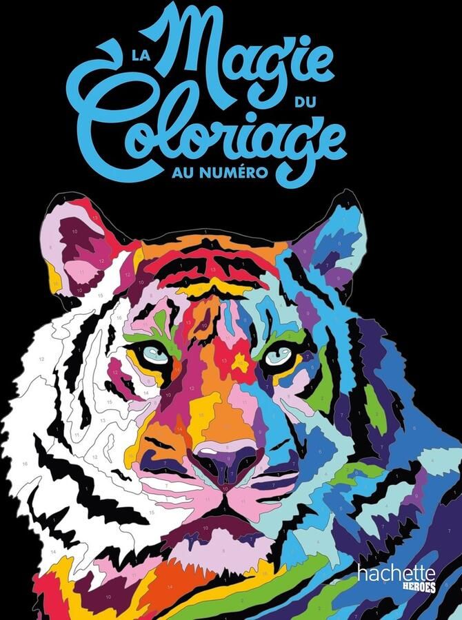 Hachette heroes La Magie du Coloriage au numéro Kleuren op nummer kleurboek