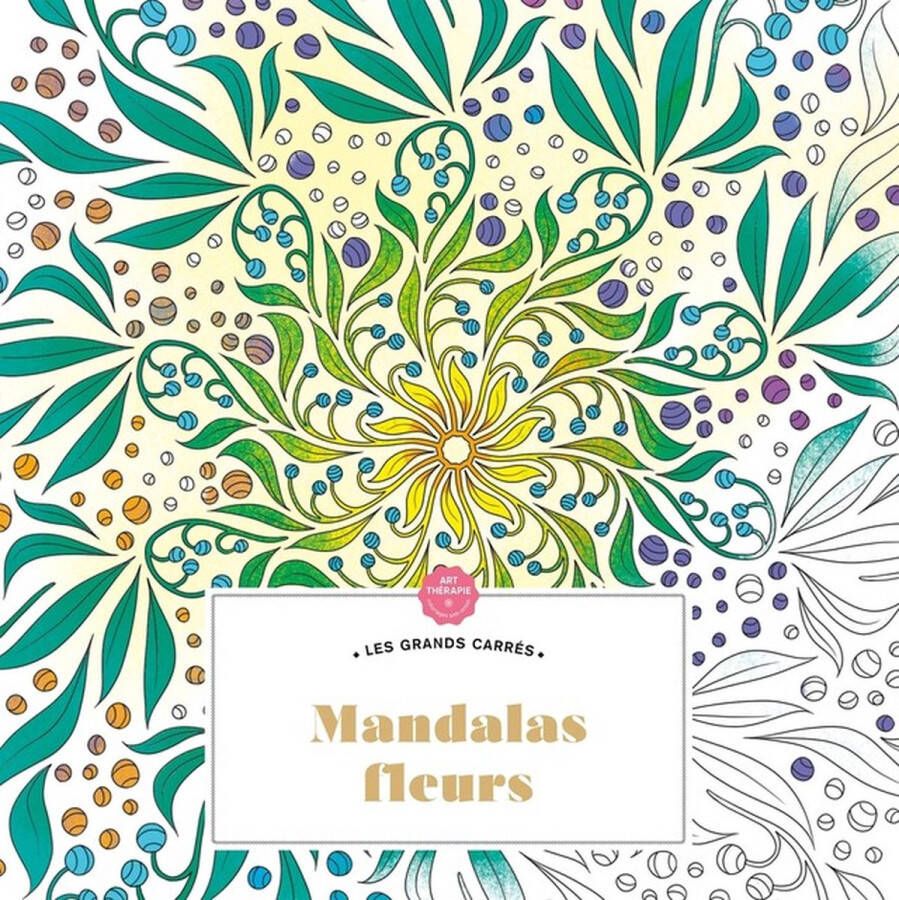 Hachette heroes Les Grands Carrés Mandalas Fleurs Kleurboek voor volwassenen