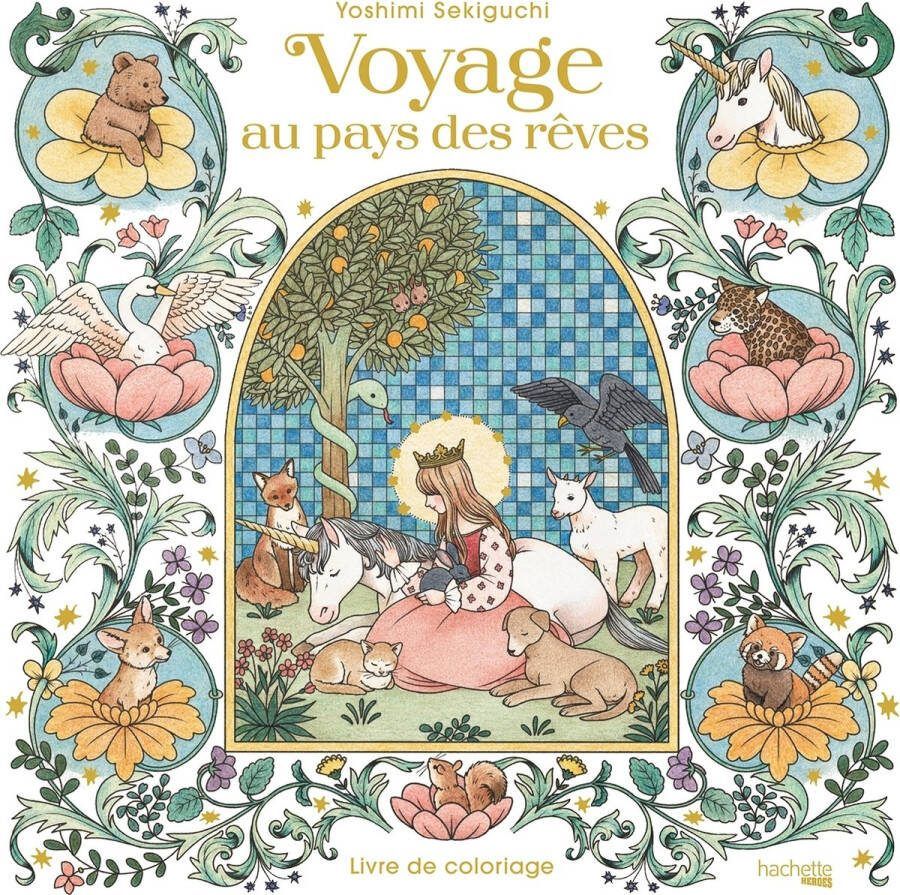 Hachette heroes Voyage au pays des reves Live de Coloriage Yoshimi Sekiguchi Kleurboek voor volwassenen